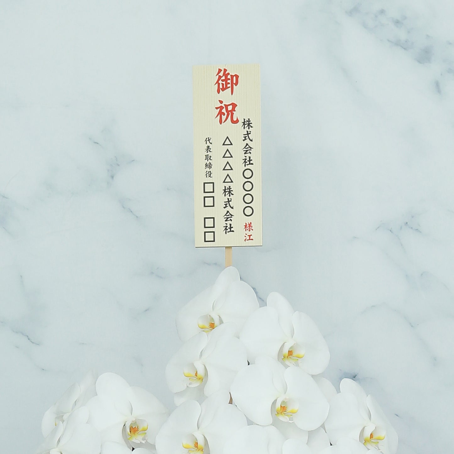胡蝶蘭 10本 ハイグレード(約120輪以上)
