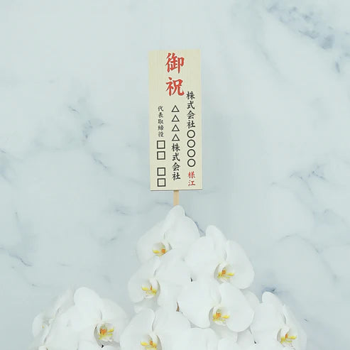 胡蝶蘭 3本 ミドル(33輪以上)